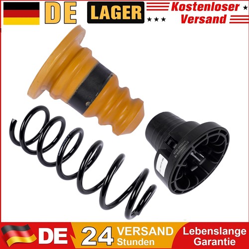 Federbeinsatz mit federbasis - mit,